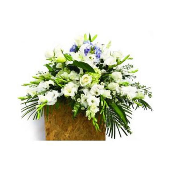 Lágrima de Piso Tipo Manto