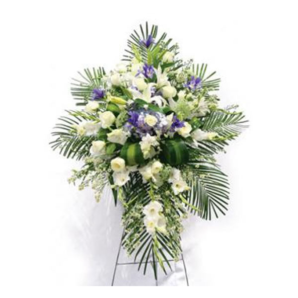 Lagrima defuncion Gladiolos e Iris