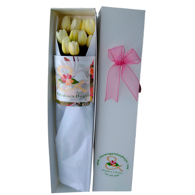 Tulipanes x 10 en Caja