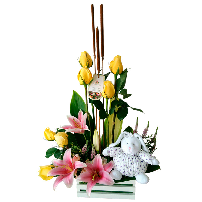 Arreglo Recién Nacidos Clodette