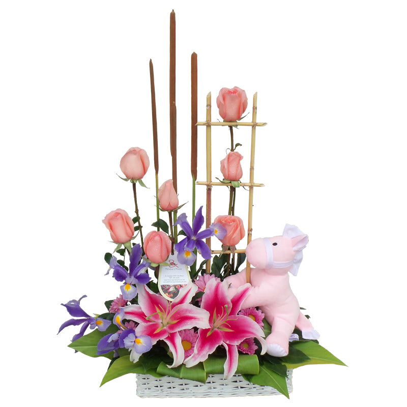 Arreglo Recién Nacidos Pony Pink