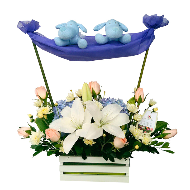 Arreglo Recién Nacidos Gemelos