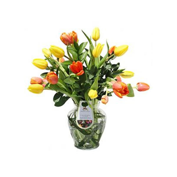 Arreglo Tulipanes Teruel