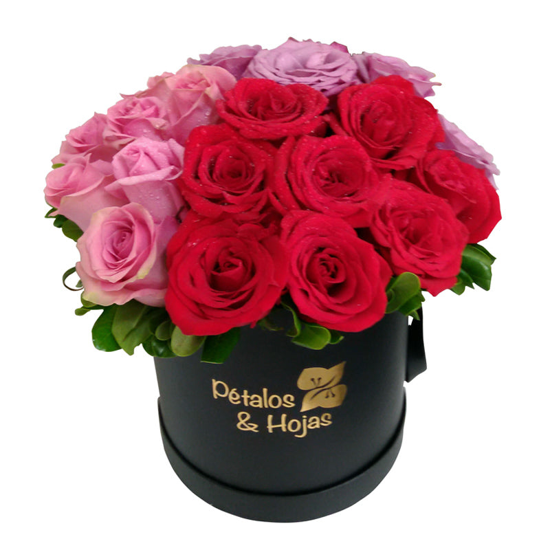Hat box 24 rosas Violette