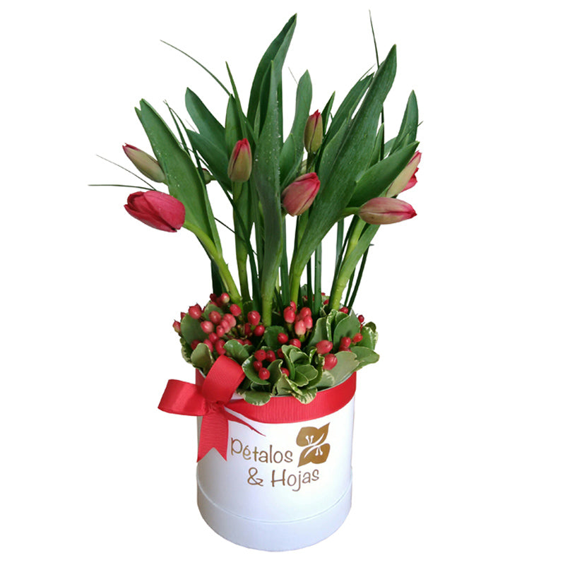 Arreglo de tulipanes Beauty Fall