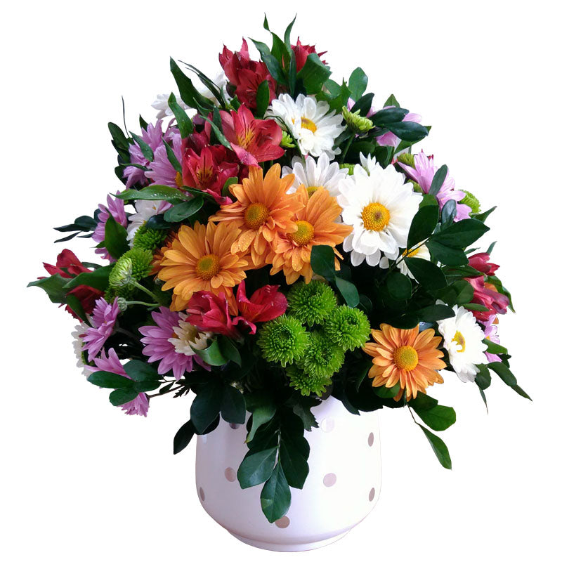 Arreglo Primaveral de Margaritas