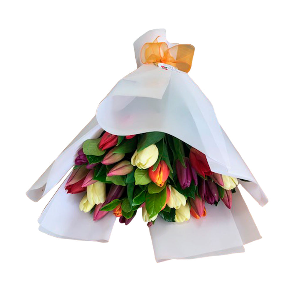 Anneliese Ramo 30 Tulipanes