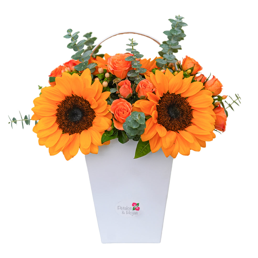 Girasoles La Toscana