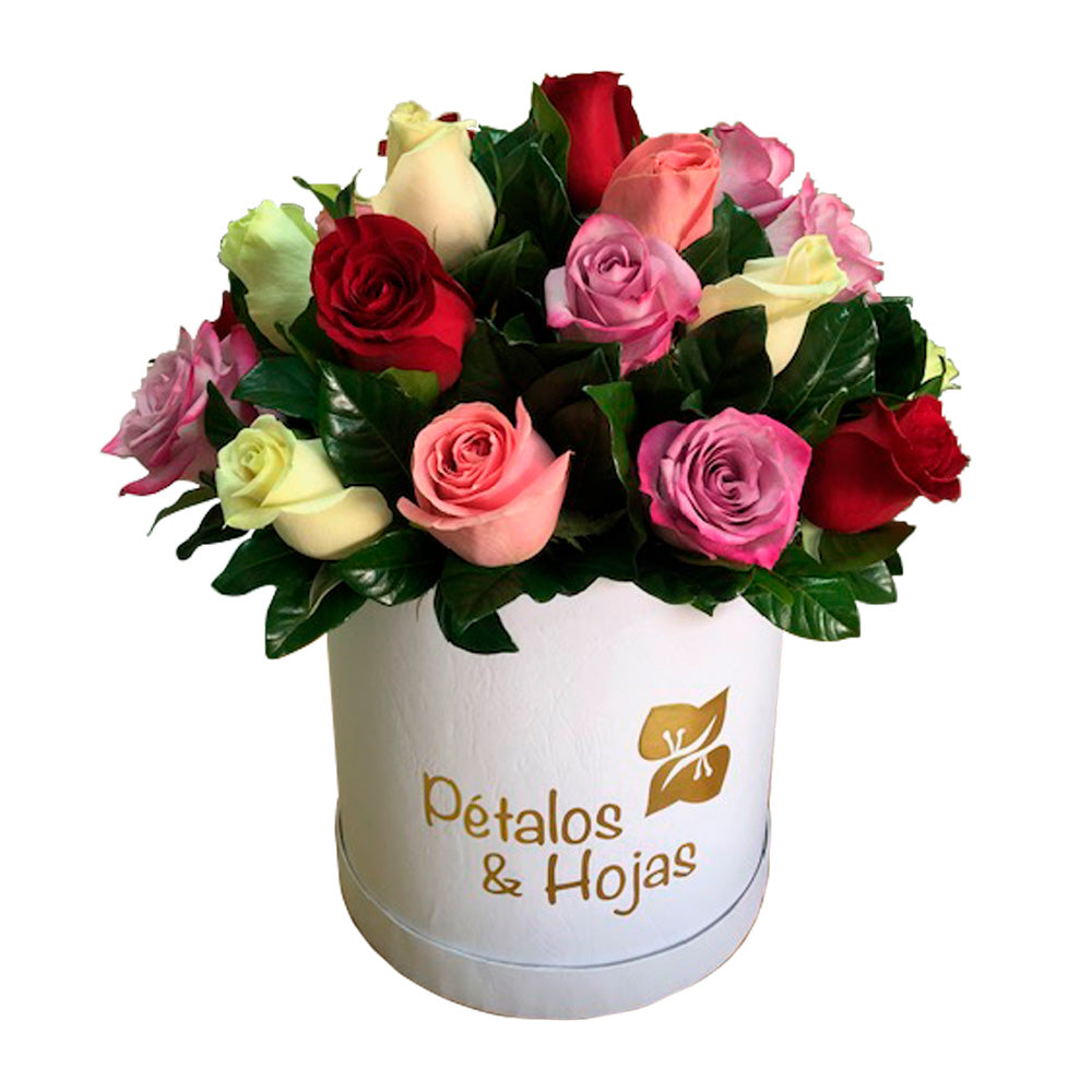 Olivia Hat Box 24 rosas colores