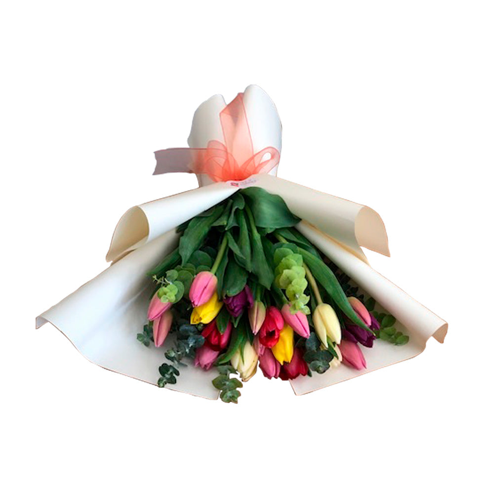 Thais Ramo 20 tulipanes