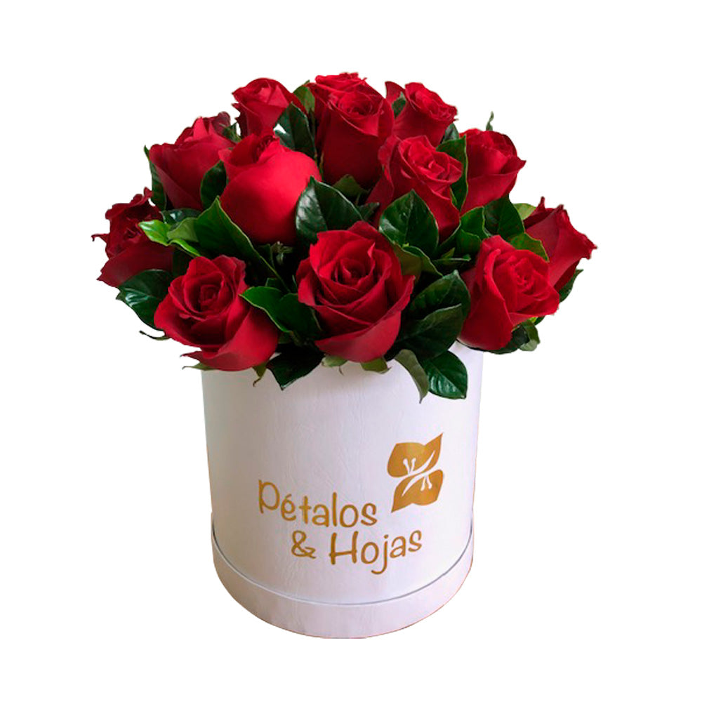 Vittoria Hat Box 24 rosas