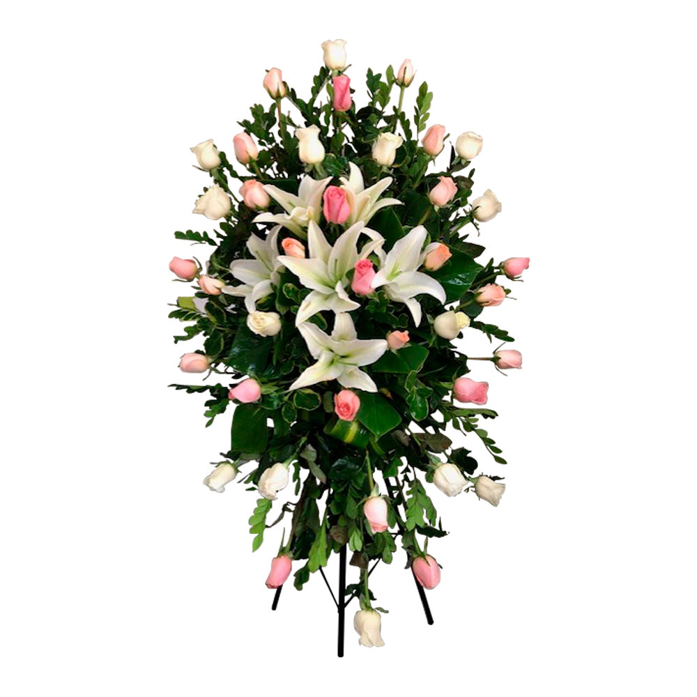 Lagrima de rosas tonos pastel