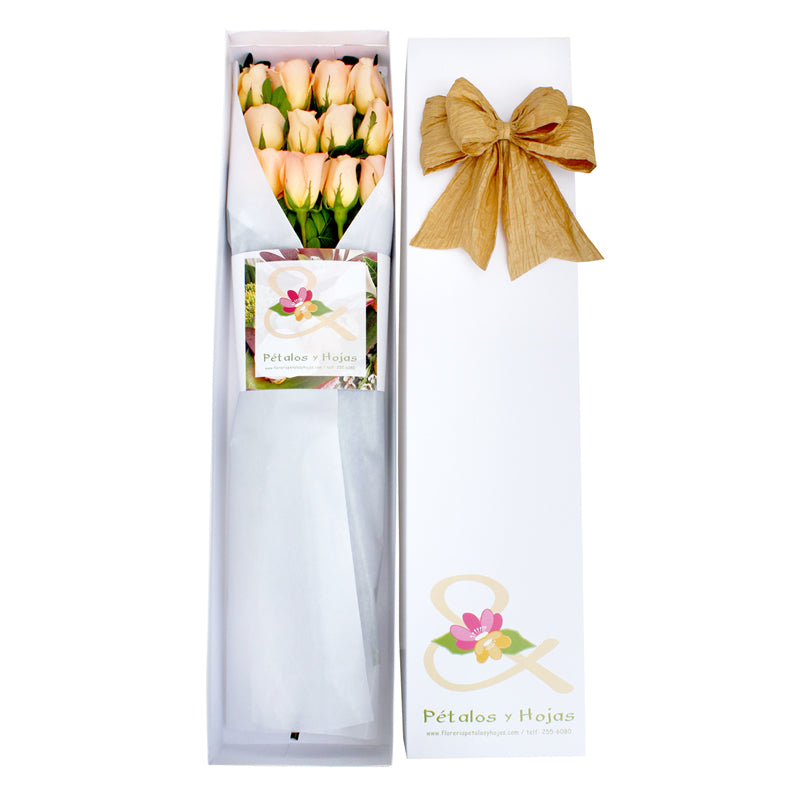 Caja x 12 Rosas Melón